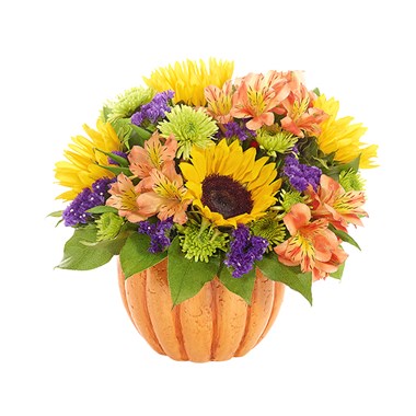 "Harvest Pumpkin" bouquet of flowers for sale